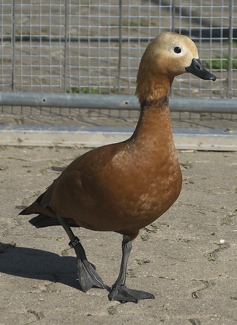 on